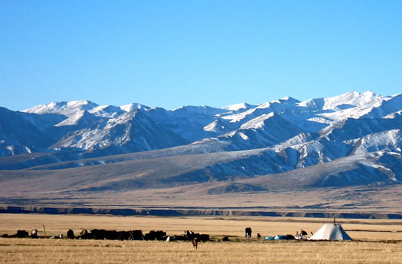 Tibetan Nomad1