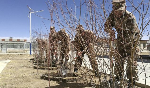 China is taking the unprecedented – and expensive – step of harnessing solar power to melt permafrost to allow trees to grow in Nagqu. (Photo courtesy: SCMP)