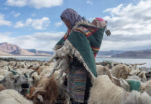 300,000 farmers, nomads relocated as nearly half of TAR placed under ‘strictest ecological protection’