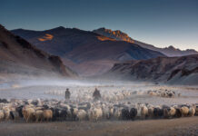 Ladakh villagers lose access to traditional grazing land due to Chinese nibbling of territory