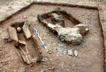 New findings show human activity 10,000 years ago on Tibetan Plateau, the adaptation ground for Ice Age fauna