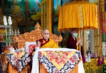 Dalai Lama: ‘Might need a walking stick or wheelchair in future, am in great health otherwise’