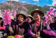 Officials in rural Tibet ordered to use only Chinese in latest Sinicization drive