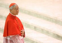 Hong Kong’s top former Catholic cleric, three others arrested in death knell to one country, two systems rule