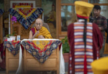 Dalai Lama says Tibetanness underlines our dedication to Tibetan cause in speech to Shoton festival participants
