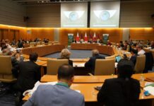 China reasserts ‘right’ on Dalai Lama reincarnation as lawmakers from 29 countries gather in Tokyo to discuss Tibet