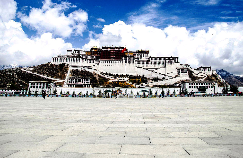 Previously unknown beetle species stated to threaten Potala’s wooden structure