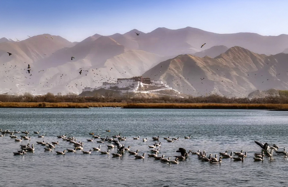 China claims yet another propaganda Tibet-word-record: the highest urban natural wetland