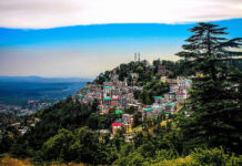 Indian MP to propose setting up a Buddhist university at Dharamshala