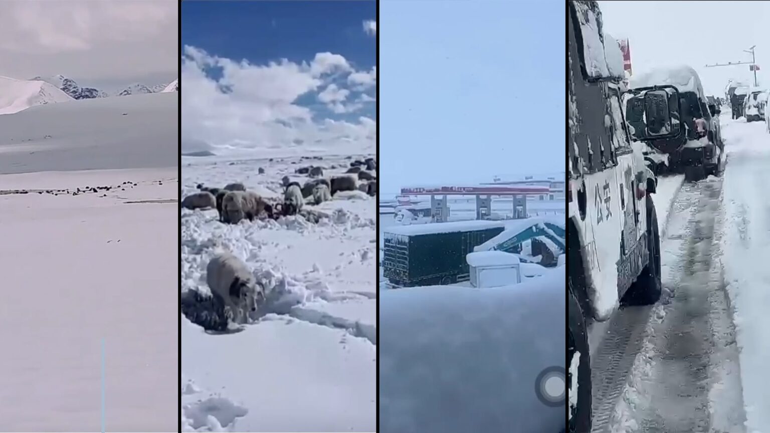 Heavy snowfall causes losses of homes, herds in Ngari in Tibet, leaves many people stranded